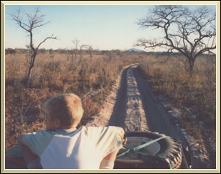 Tsodilo Hills on the horizon.