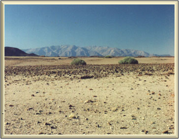 Brandberg from the west.