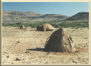 Himba Huts