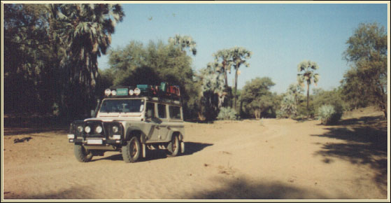 Along the Kunene between the Palms