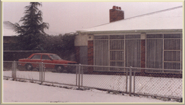 Snow 1981